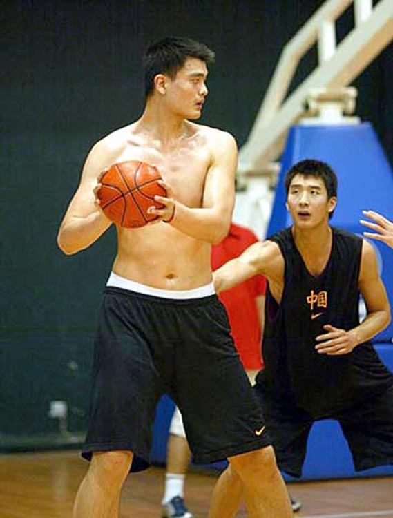 也提高了乔 也提高了乔